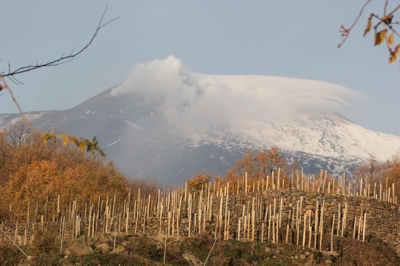 Agriturismo Le Case Del Merlo 밀로 외부 사진