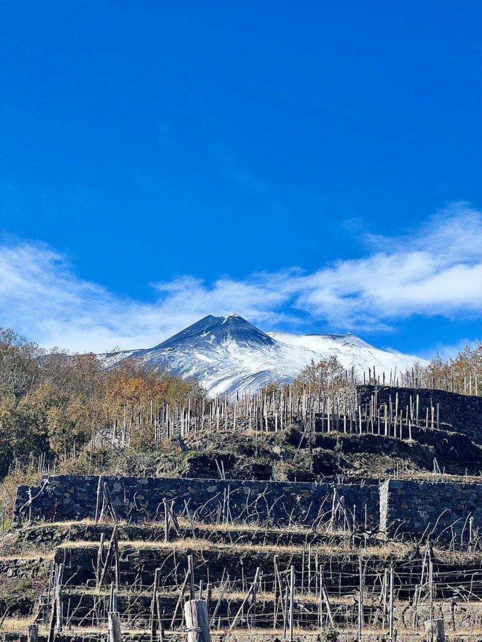 Le Case Del Merlo Turismo Rurale 밀로 외부 사진