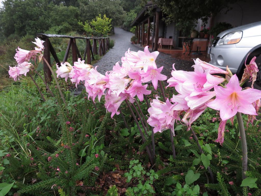 Agriturismo Le Case Del Merlo 밀로 외부 사진